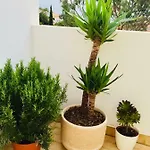 公寓 Garden- One Bedroom With Terrace