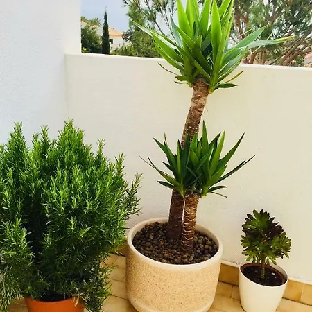 Apartmán Garden- One Bedroom With Terrace